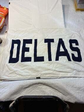 Vintage Delta Sigma Theta "Deltas" Sorority Flag Banner White Navy Canvas